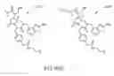 Fig. 247 - Alpha-helix mimetics and method relating to the treatment of cancer stem cells