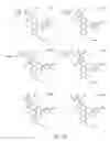 Fig. 253 - Alpha-helix mimetics and method relating to the treatment of cancer stem cells