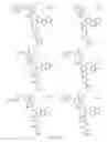Fig. 26 - Alpha-helix mimetics and method relating to the treatment of cancer stem cells