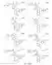 Fig. 263 - Alpha-helix mimetics and method relating to the treatment of cancer stem cells