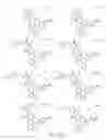 Fig. 264 - Alpha-helix mimetics and method relating to the treatment of cancer stem cells
