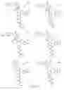 Fig. 28 - Alpha-helix mimetics and method relating to the treatment of cancer stem cells