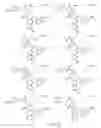 Fig. 281 - Alpha-helix mimetics and method relating to the treatment of cancer stem cells