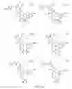 Fig. 287 - Alpha-helix mimetics and method relating to the treatment of cancer stem cells