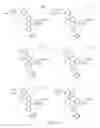 Fig. 289 - Alpha-helix mimetics and method relating to the treatment of cancer stem cells