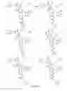Fig. 29 - Alpha-helix mimetics and method relating to the treatment of cancer stem cells