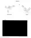 Fig. 305 - Alpha-helix mimetics and method relating to the treatment of cancer stem cells