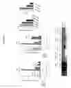 Fig. 307 - Alpha-helix mimetics and method relating to the treatment of cancer stem cells