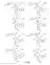 Fig. 40 - Alpha-helix mimetics and method relating to the treatment of cancer stem cells