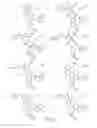 Fig. 44 - Alpha-helix mimetics and method relating to the treatment of cancer stem cells
