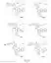 Fig. 49 - Alpha-helix mimetics and method relating to the treatment of cancer stem cells
