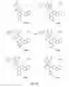 Fig. 50 - Alpha-helix mimetics and method relating to the treatment of cancer stem cells
