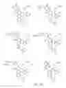 Fig. 65 - Alpha-helix mimetics and method relating to the treatment of cancer stem cells