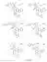 Fig. 66 - Alpha-helix mimetics and method relating to the treatment of cancer stem cells