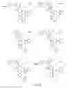 Fig. 68 - Alpha-helix mimetics and method relating to the treatment of cancer stem cells