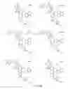 Fig. 70 - Alpha-helix mimetics and method relating to the treatment of cancer stem cells