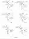 Fig. 77 - Alpha-helix mimetics and method relating to the treatment of cancer stem cells