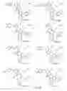 Fig. 80 - Alpha-helix mimetics and method relating to the treatment of cancer stem cells