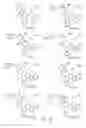 Fig. 81 - Alpha-helix mimetics and method relating to the treatment of cancer stem cells