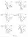 Fig. 86 - Alpha-helix mimetics and method relating to the treatment of cancer stem cells