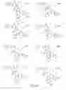 Fig. 97 - Alpha-helix mimetics and method relating to the treatment of cancer stem cells