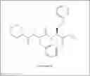 Fig. 05 - Methods for the treatment of chronic pain and compositions therefor