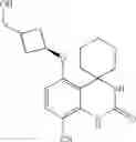Fig. 40 - Spirocyclic derivatives