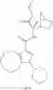 Fig. 10 - Hexahydro-cyclooctyl pyrazole cannabinoid modulators