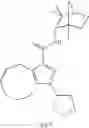 Fig. 13 - Hexahydro-cyclooctyl pyrazole cannabinoid modulators