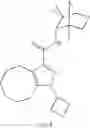 Fig. 14 - Hexahydro-cyclooctyl pyrazole cannabinoid modulators
