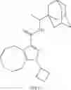 Fig. 16 - Hexahydro-cyclooctyl pyrazole cannabinoid modulators