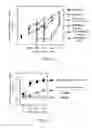 Fig. 03 - Agent for enhancing the production of collagen, their preparation and use