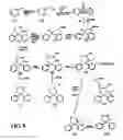 Fig. 09 - Analgesics and methods of use