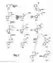 Fig. 11 - Analgesics and methods of use