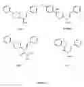 Fig. 12 - Polypharmacophoric agents