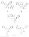 Fig. 13 - Polypharmacophoric agents