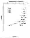 Fig. 16 - Polypharmacophoric agents