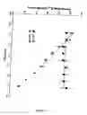 Fig. 17 - Polypharmacophoric agents