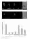 Fig. 03 - PROTECTION OF CELLS FROM ADVERSE EXTERNAL OR INTRINSIC EFFECTS, CELLULAR DEGENERATION AND DEATH BY N-ACYLETHANOLAMINES