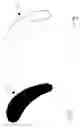 Fig. 02 - Denture adhesive articles
