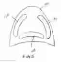 Fig. 09 - Denture adhesive articles