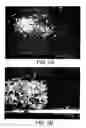 Fig. 06 - Methods of preparing polysilynes