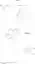 Fig. 17 - Amino acids with affinity for the α2δ-protein