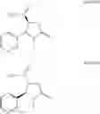 Fig. 09 - Method for making nicotine hapten