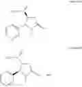 Fig. 22 - Method for making nicotine hapten