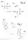 Fig. 05 - Alpha functionalization of cyclic, ketalized ketones and products therefrom