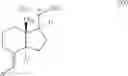 Fig. 23 - Monohalogenovinyl vitamin D derivative compounds