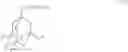 Fig. 40 - Fluoroadamantane derivative