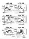 Fig. 07 - Apparatus and method for brachytherapy radiation distribution mapping