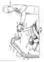 Fig. 24 - Biomedical positioning and stabilization system